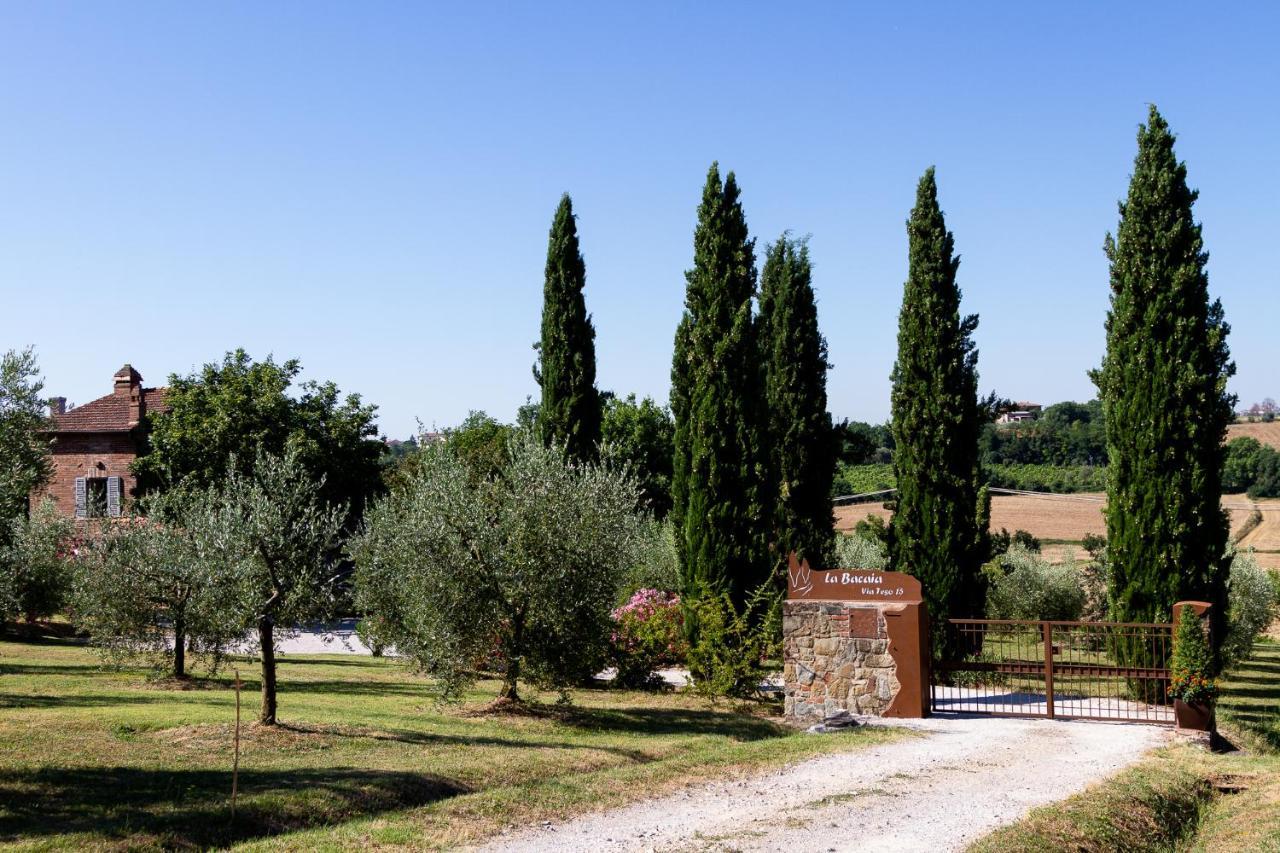 La Bacaia Βίλα Marciano della Chiana Εξωτερικό φωτογραφία